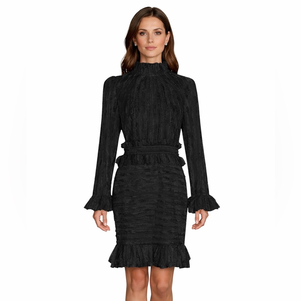 Feathered Stunning Ruffle Dress The Alessea